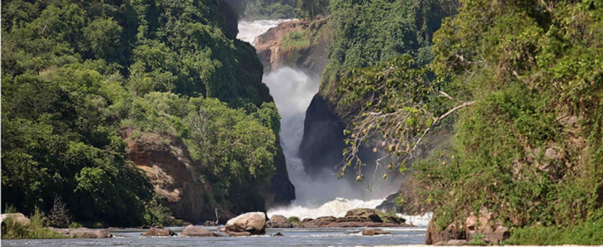 Murchison falls 