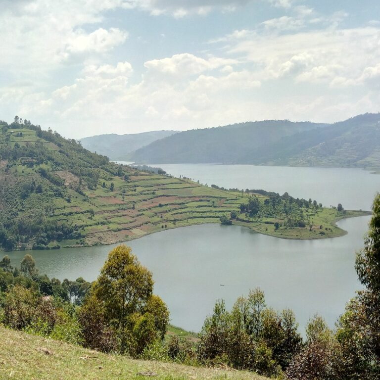 Terraced hills in Pearl of Africa